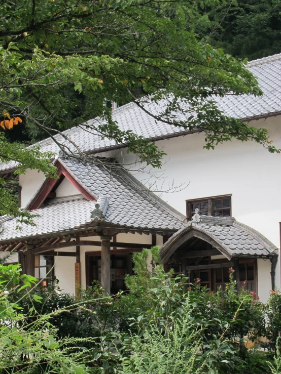 a large white house surrounded by greenery and trees