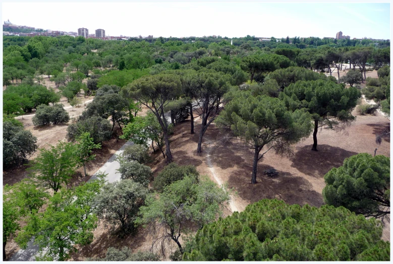 a view of trees and land with buildings in the background