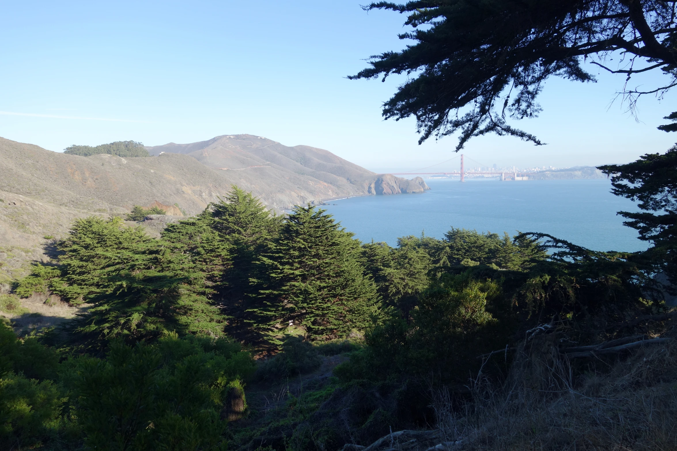 a view looking at the sea from a hill side area