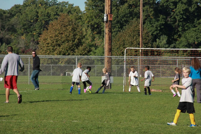 young children playing soccer in the grass near a fence