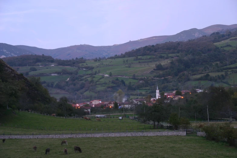 a field with animals grazing next to some mountains