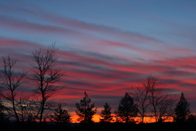 a pink sky with some clouds and trees