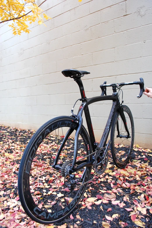 a bike parked against a building near leaves