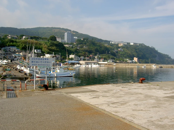 boats are docked in the bay and surrounded by hills