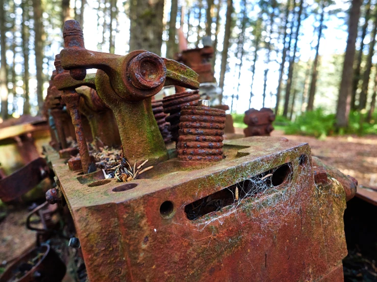 the remains of a train car sit in a clearing