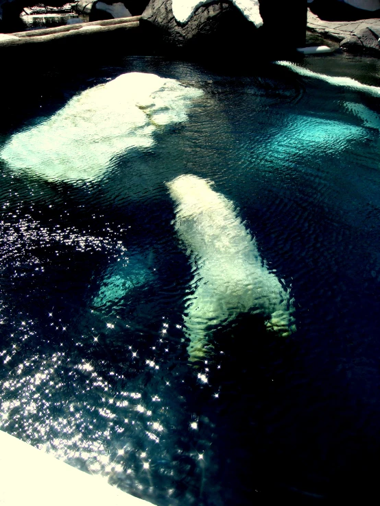 a polar bear swims in the water next to a rock formation