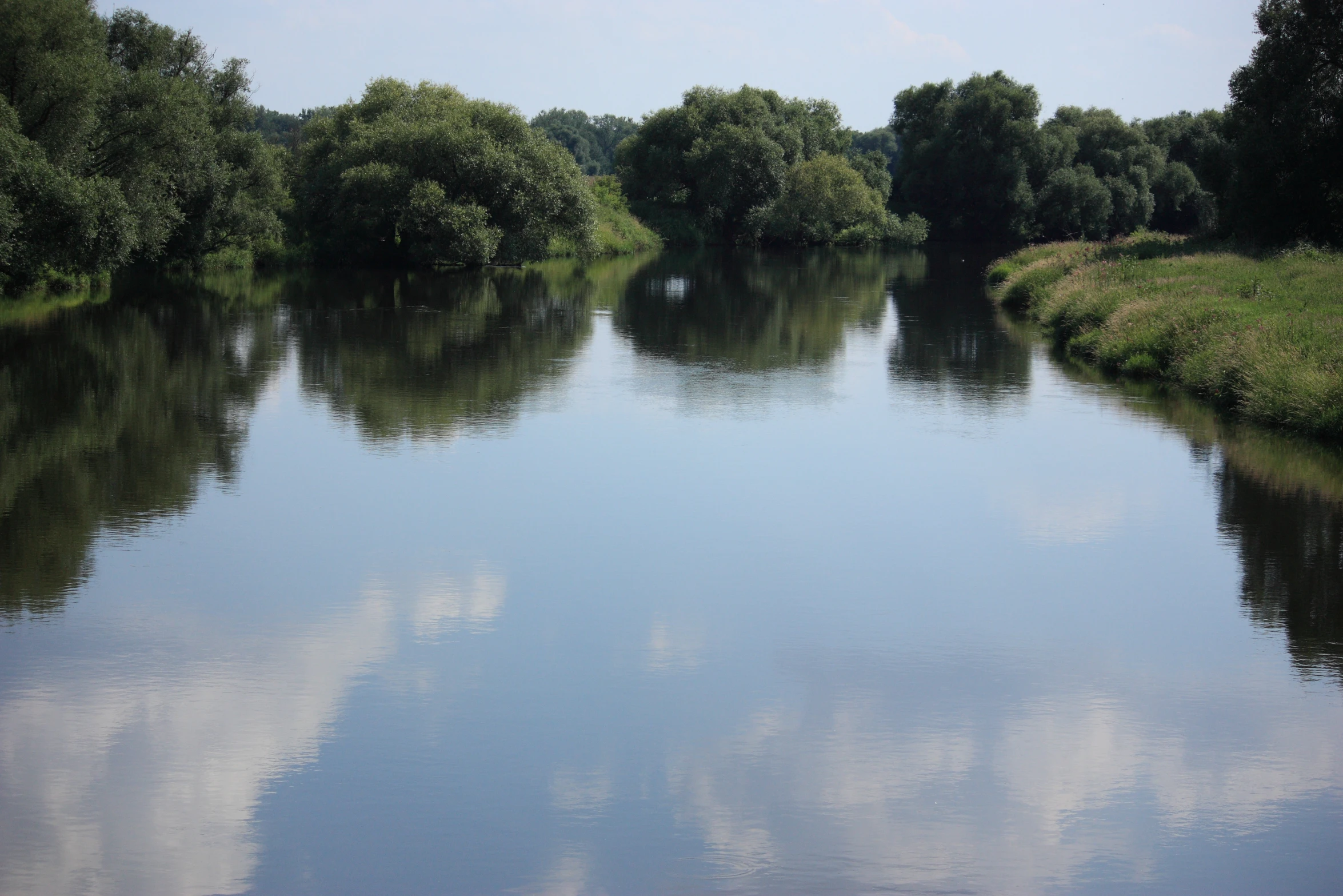 the river that runs along with some trees in it