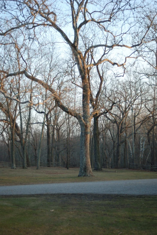 a bench in the middle of an empty park