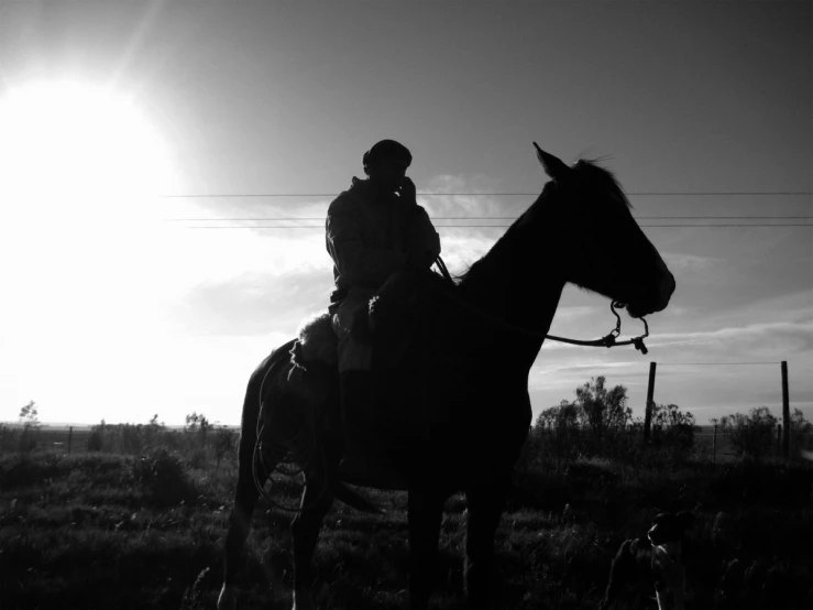 a person riding on top of a horse near a dog