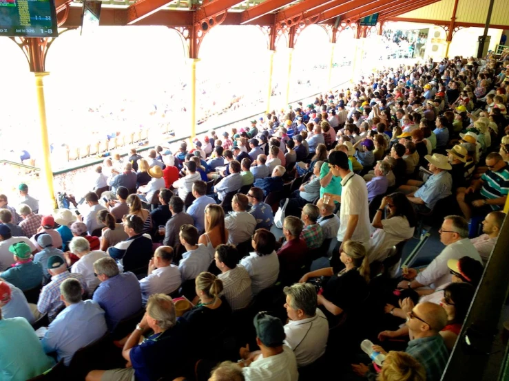 a crowd of people are watching the soccer game