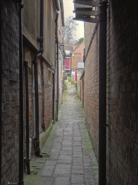 an alley way between brick buildings with trees on either side