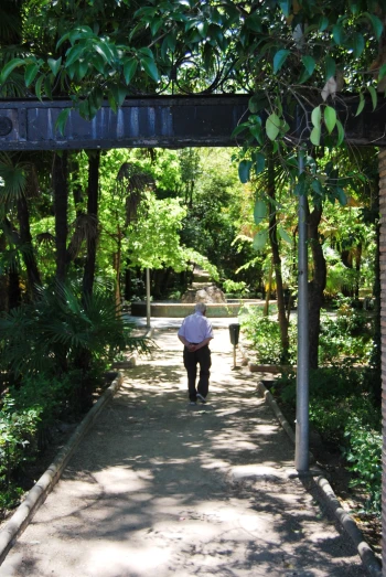 a person walking on the pathway through a lush green park