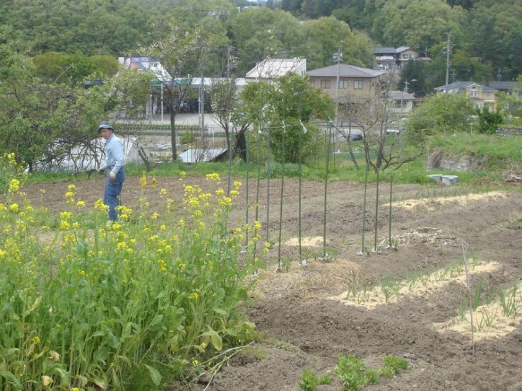 a garden is set up on top of the hill