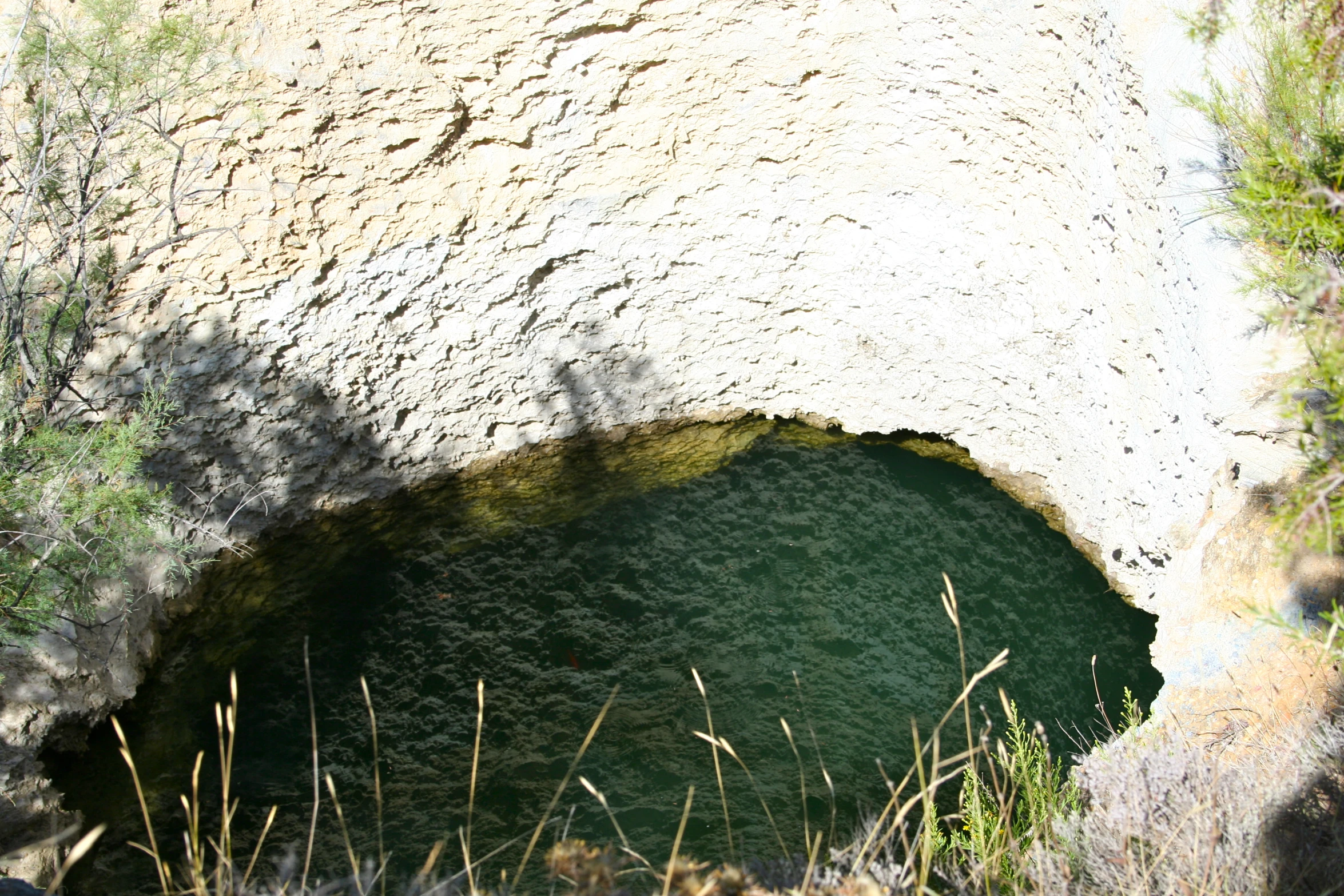 a large tunnel filled with water next to trees