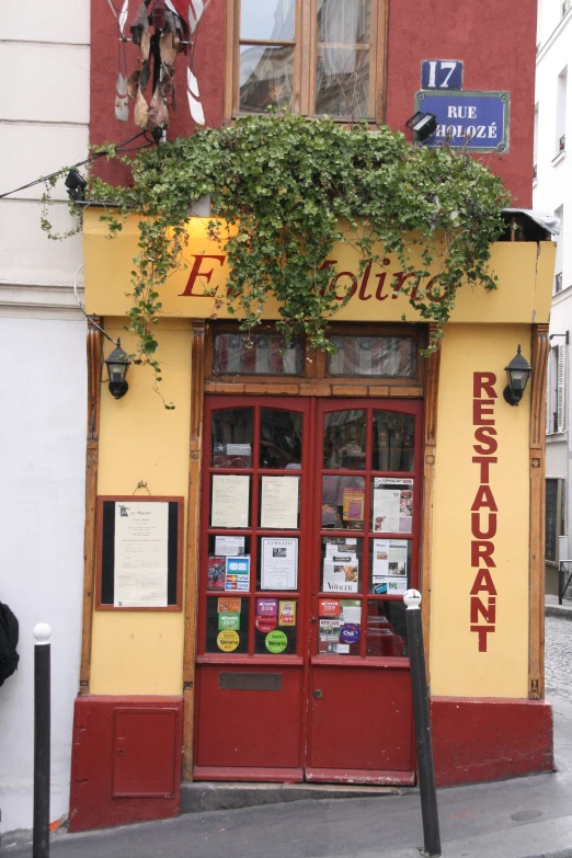 a yellow building with vines growing out of it