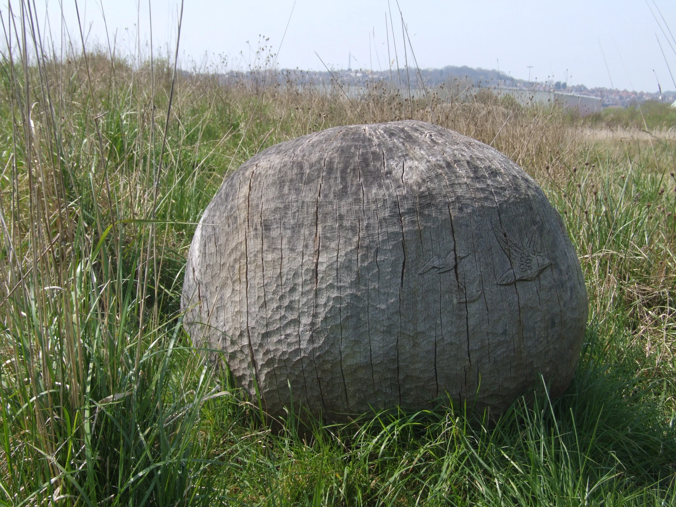 there is a large rock in a field