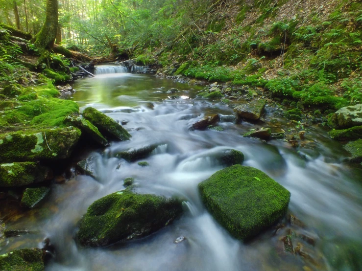 a river with rocks and moss on the water