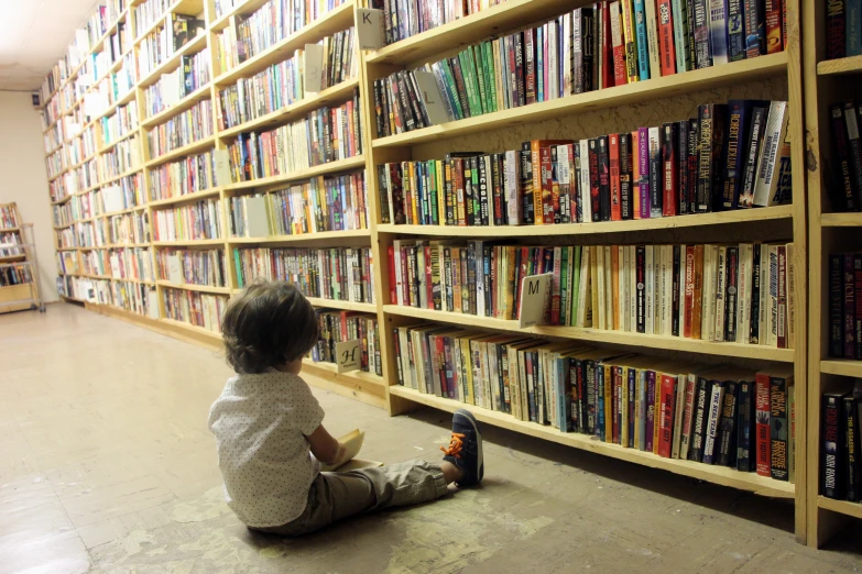 a  sits on the floor by a liry full of books