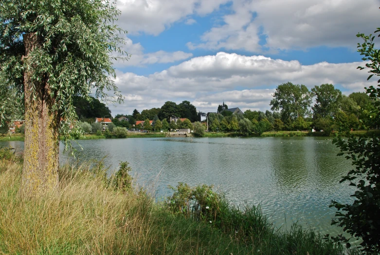 there is a body of water with green trees