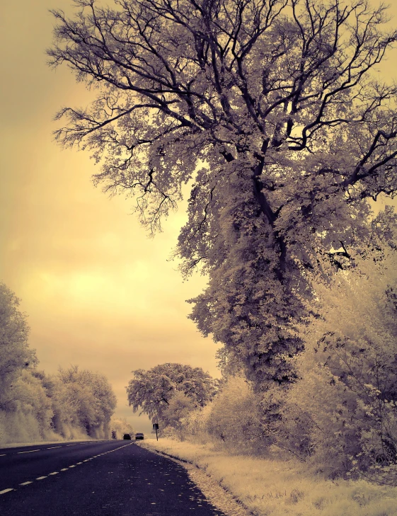 an intersection on a road that is heavily covered in snow