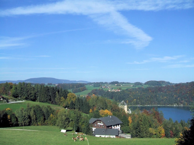 a house and several horses grazing in a field with mountains in the background