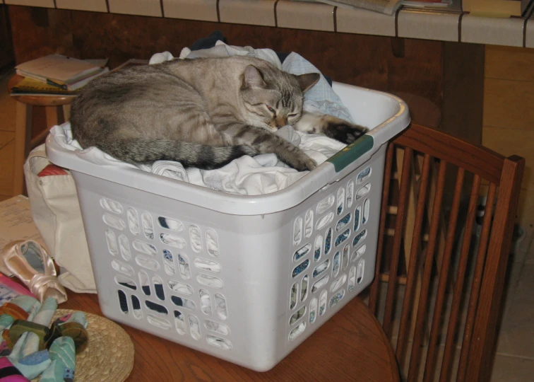 a cat is laying down in a laundry basket