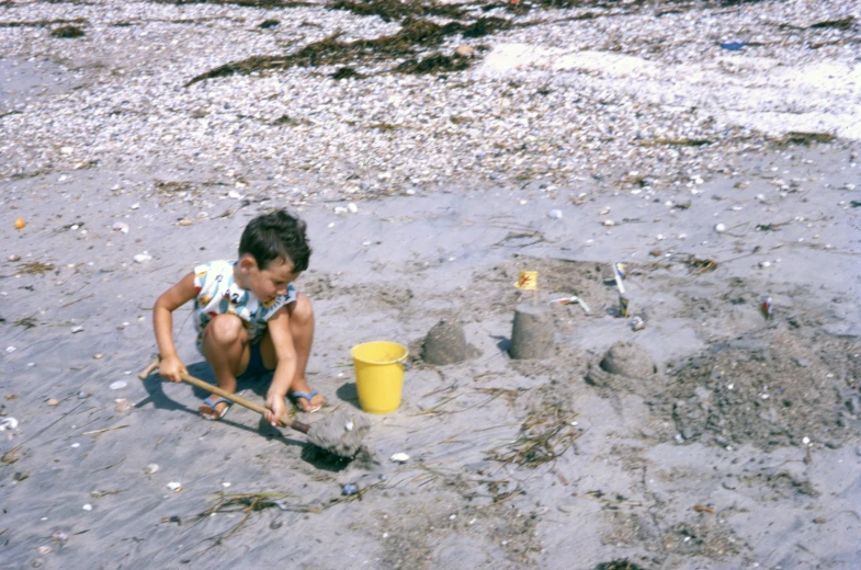 a  digging in the sand on the beach