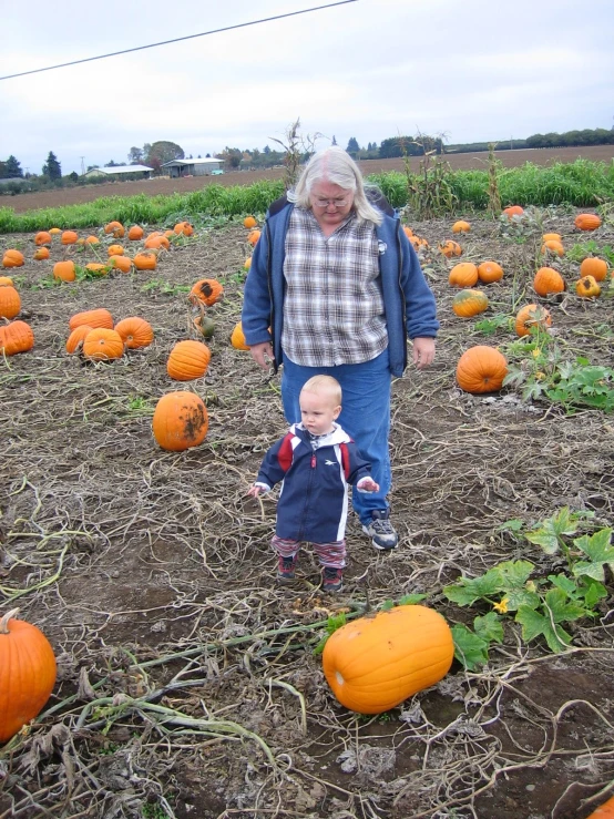 a  is standing in a pumpkin patch