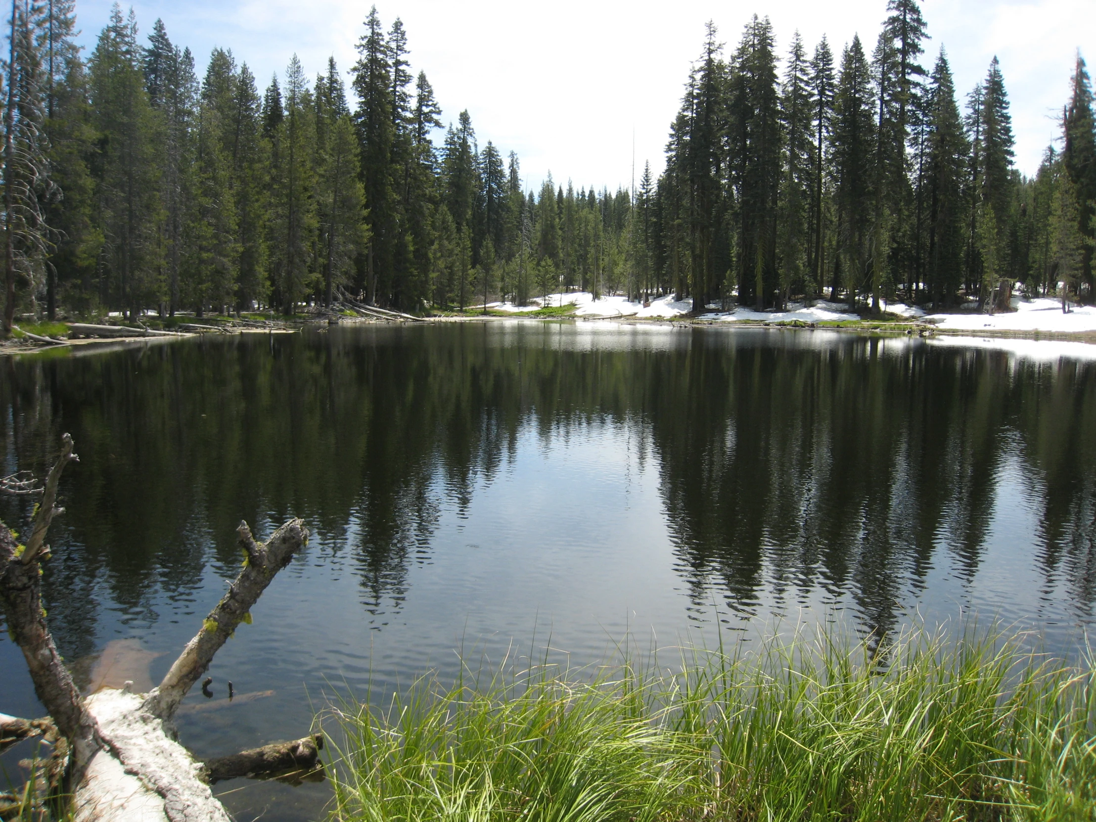 a lake surrounded by forest with snow on the ground