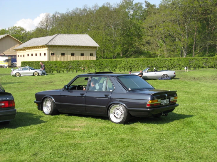 cars parked near each other on the grass