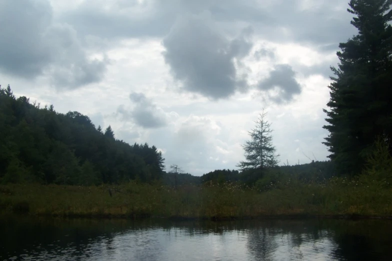 the water is calm with many trees on either side