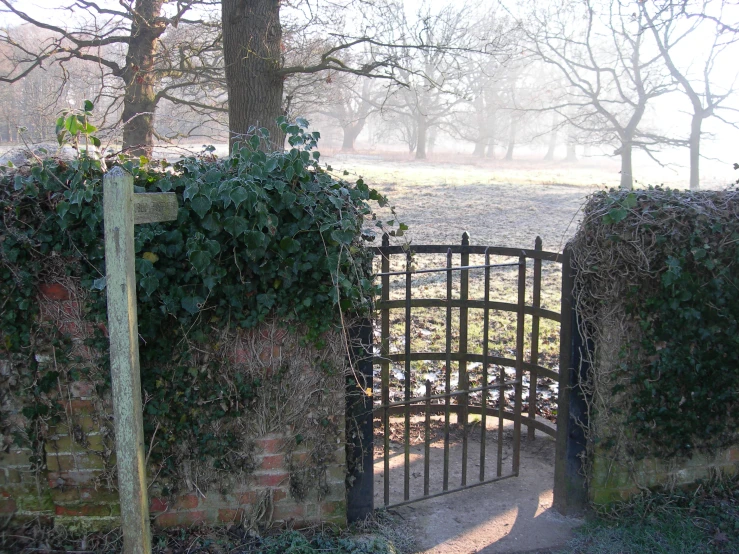 the gate has vines over it and it looks like it's going out of a brick wall