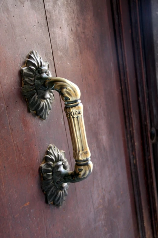 a decorative gold handle sits on the front door of a house