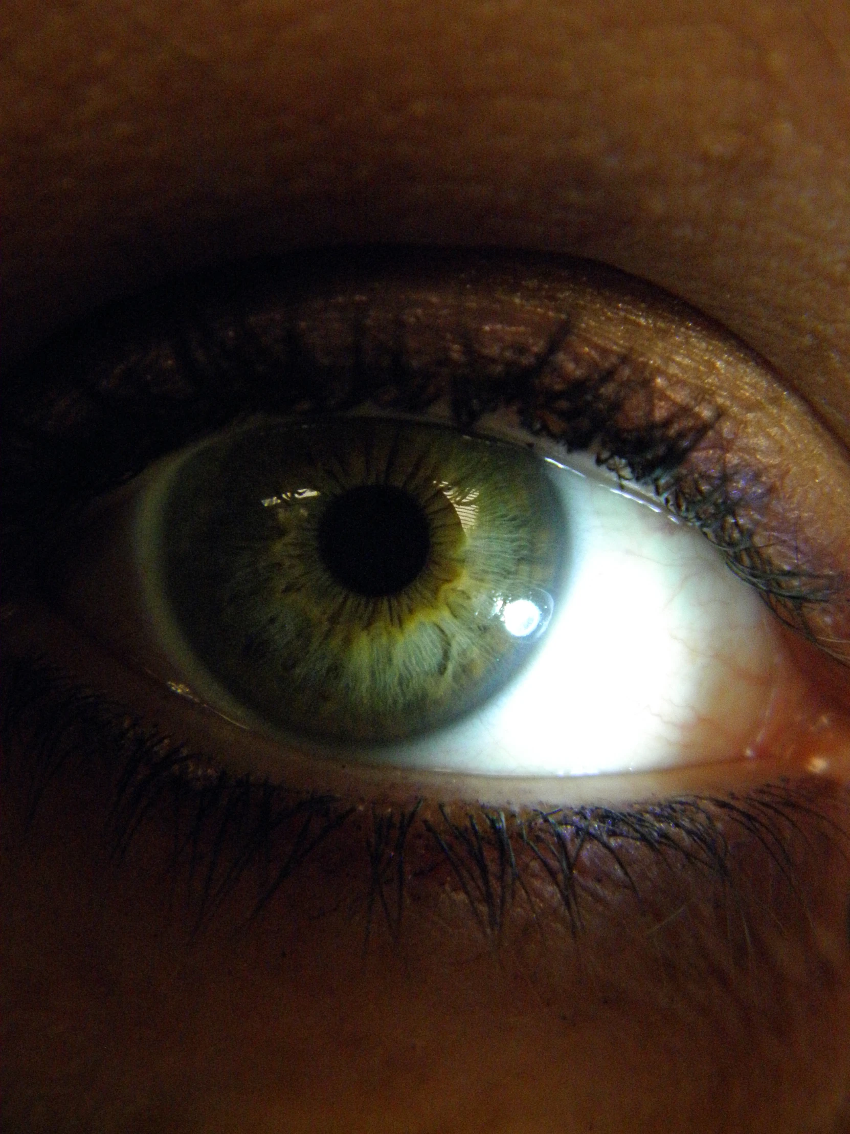 a close up of an eye with the light coming in