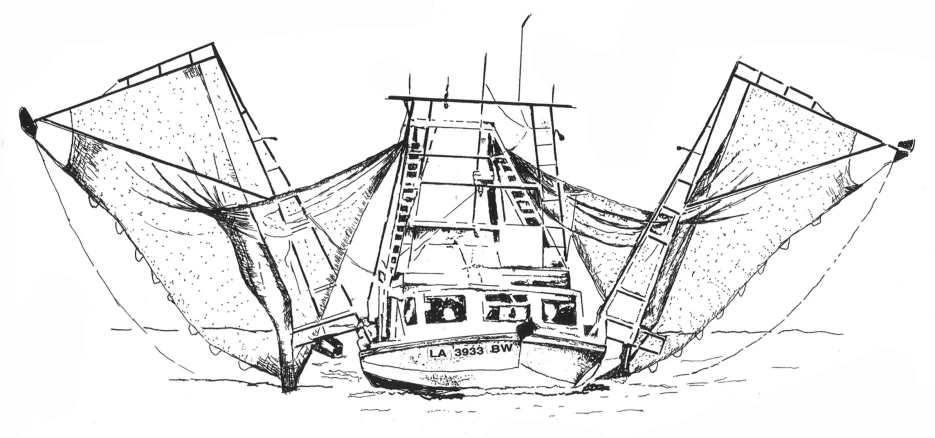 an ink drawing of a sailboat in water