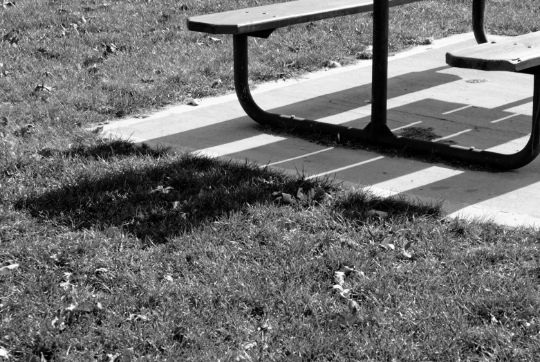 a grassy park with two benches near by