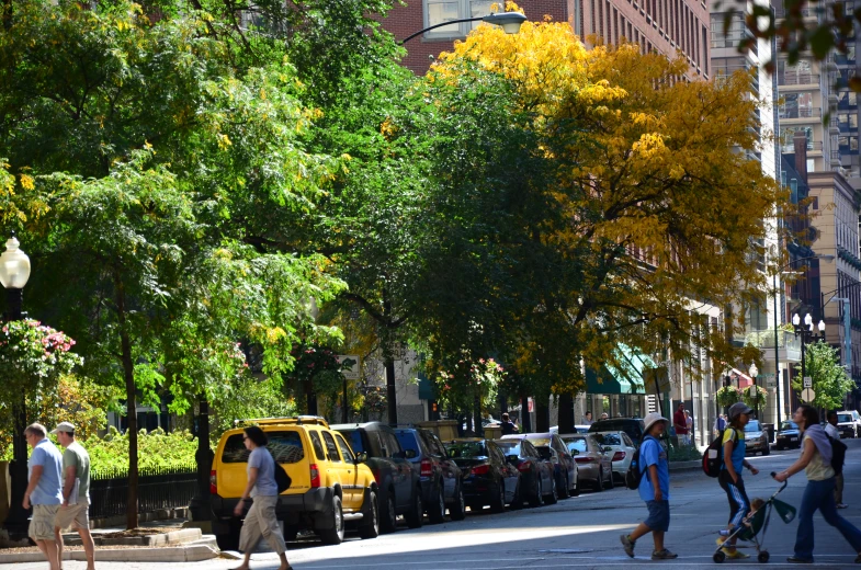 people walking and skateboarding in a city park