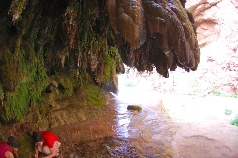 some people standing next to a big tree near the water