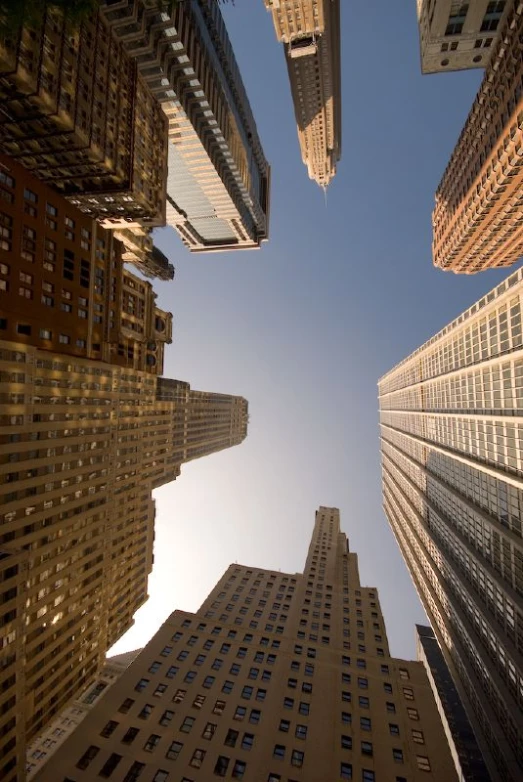 looking up at the tall buildings in the city