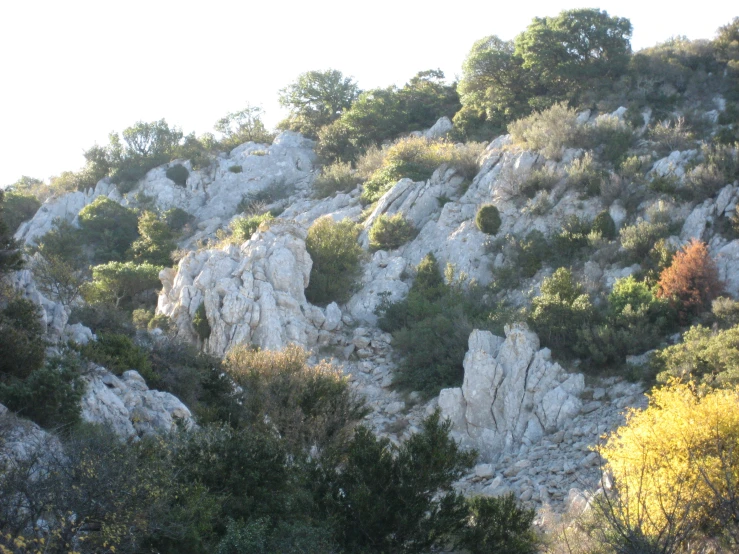 there is some kind of cliff, with some trees on the top