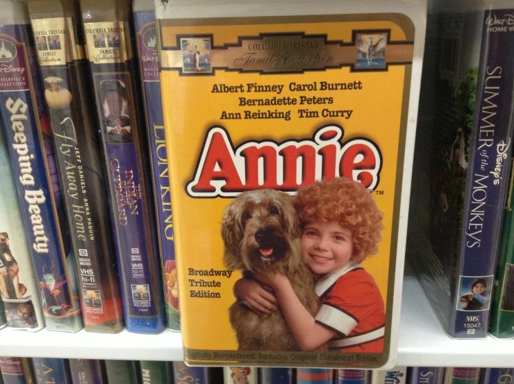 a shelf of children's dvds with pictures of the author and her dog