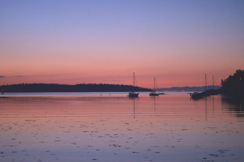 three sailboats sitting in the middle of a lake during sunset