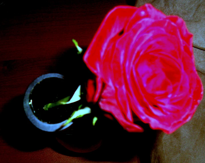 two flowers sitting next to each other on top of a table