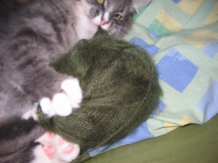 a cat laying on its back sleeping on a blanket