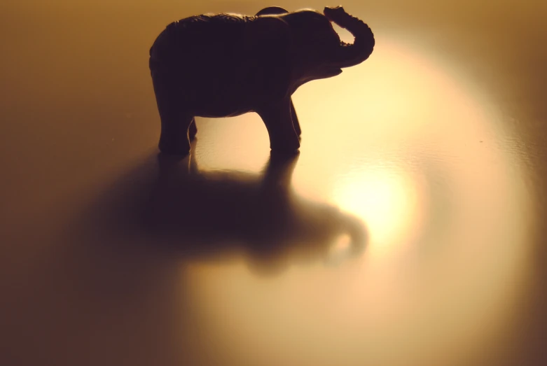 a statuette elephant stands in the rays of sunlight