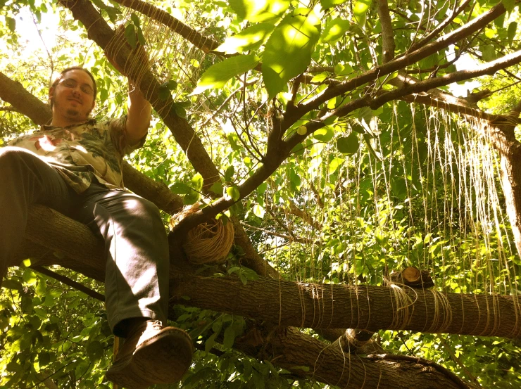 a man in jeans sitting on a nch next to a leafy tree