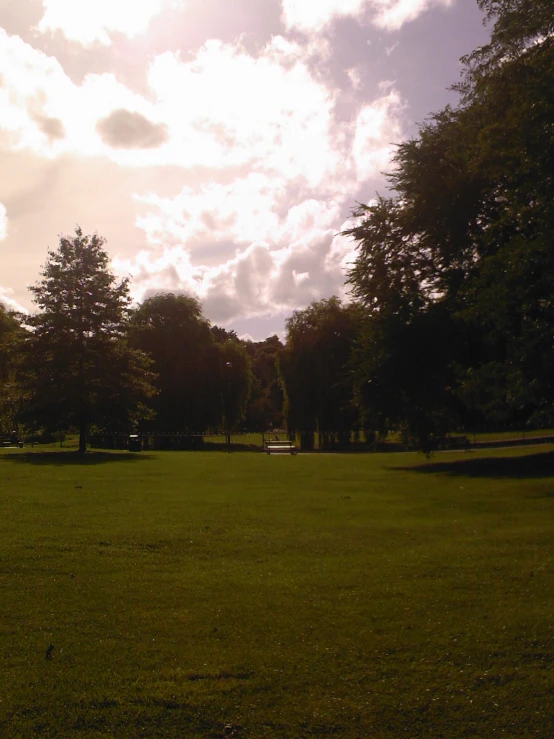 a grassy field with trees in the background