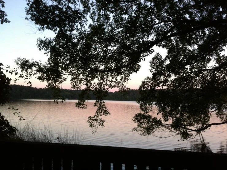 a bench near water looking over it