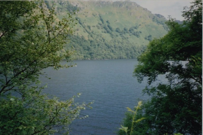 trees and bushes line the shore of a body of water