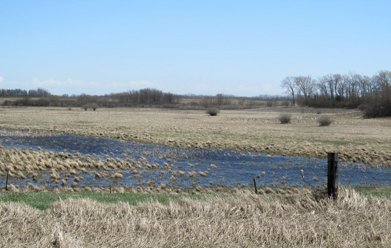 the po is a long s with the water reflecting the grass and trees